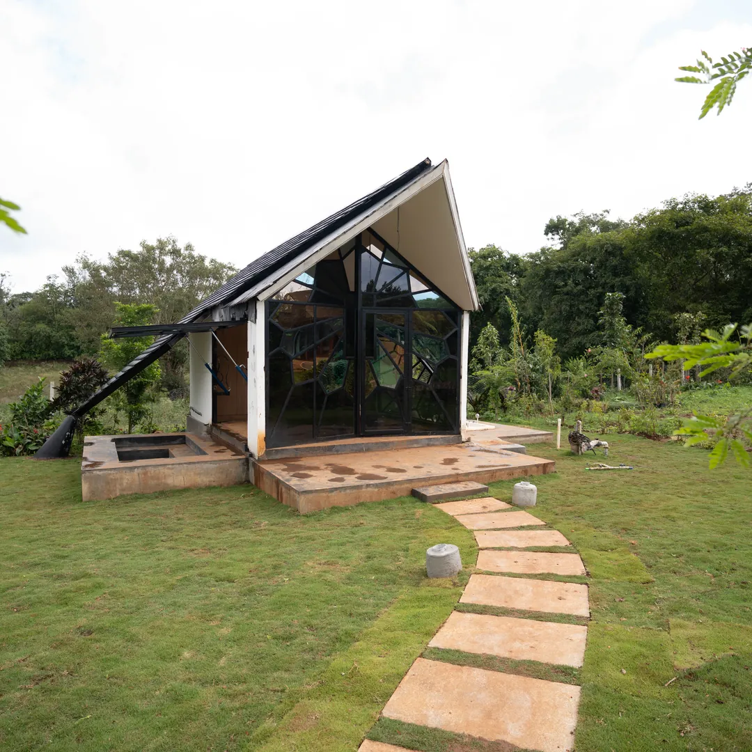 The Cocoon — exterior, the Cocoon among the trees