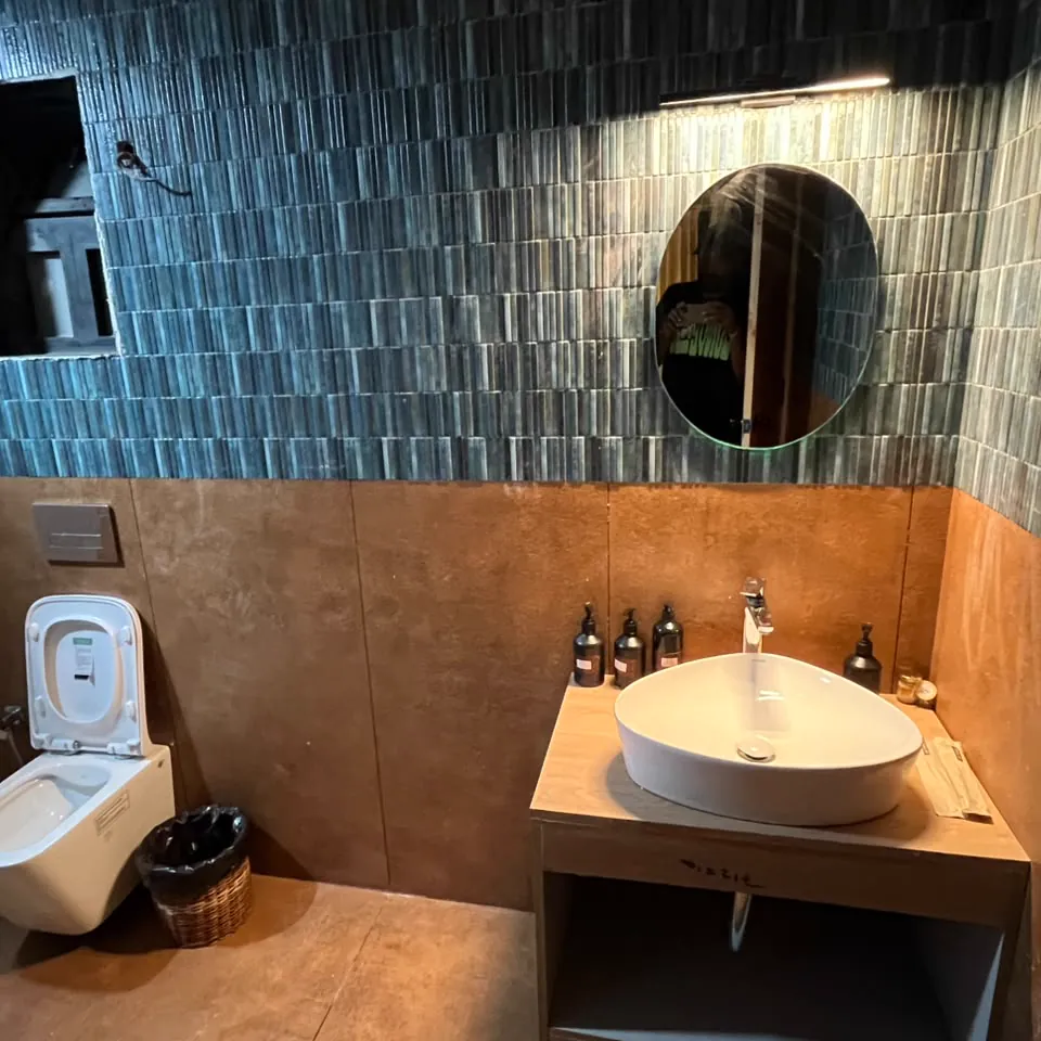 The Cocoon — the bathroom vanity and walk-in shower